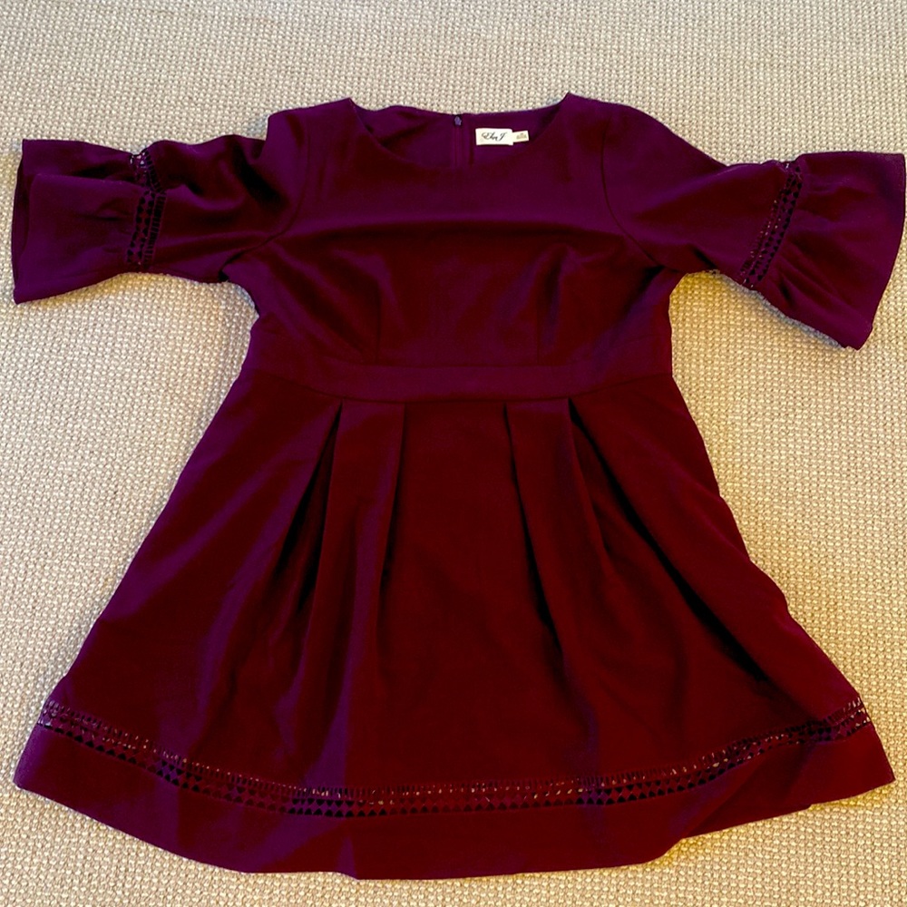 Eliza J Maroon Plus Fit and Flare dress